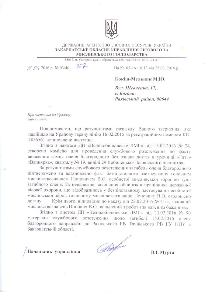 мурга