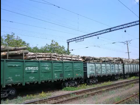 ліс