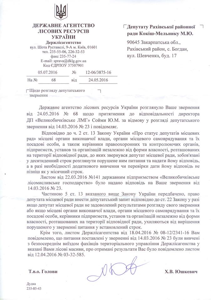 кокіш3